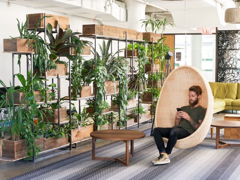 Indoor Plants in Interior Design