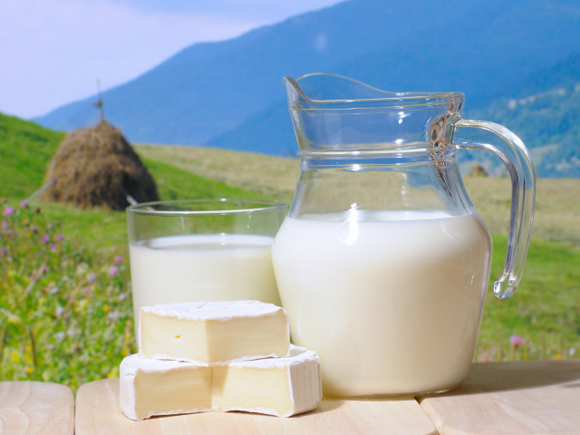 Milk’s Impact on Health