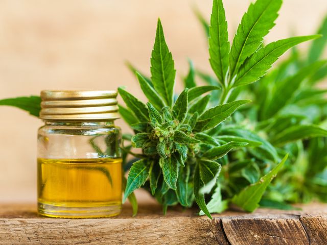 CBD and Inflammation